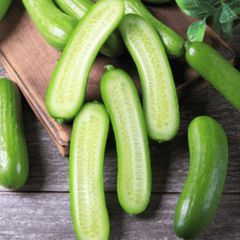 Cucumber Green (खीरा) (500gm)
