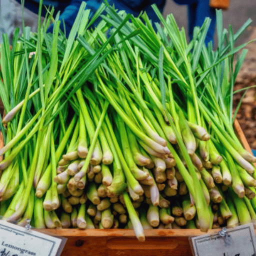 Lemon Grass (नींबू घास) (100g)