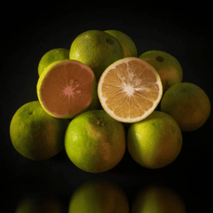 Mosambi (मोज़ाम्बिक) (500g)