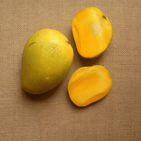Mango Banganapalli (आम) (1pcs)